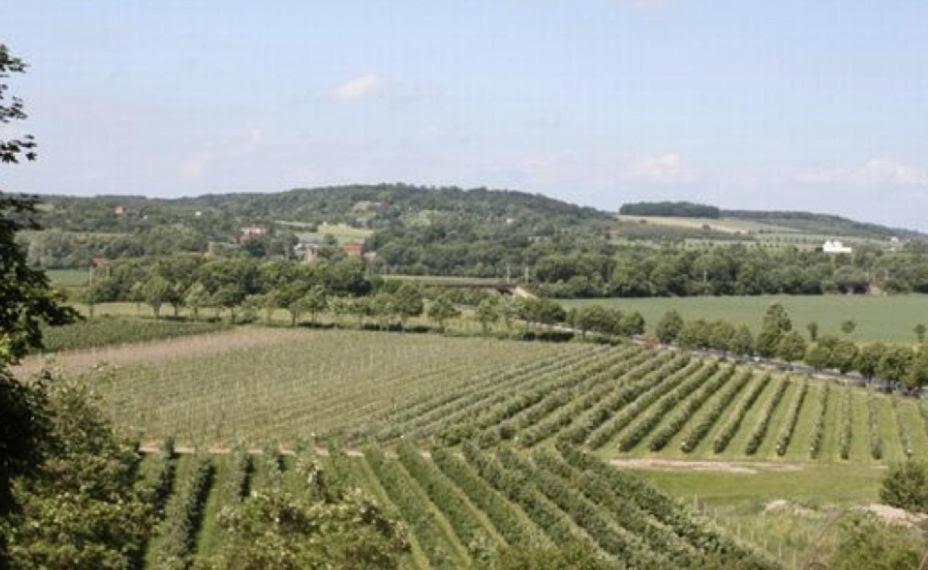 Ferienwohnung Zum Saaletalblick Naumburg  Eksteriør billede
