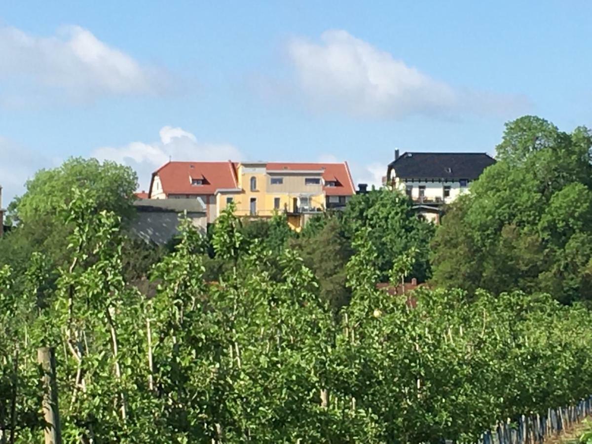 Ferienwohnung Zum Saaletalblick Naumburg  Eksteriør billede